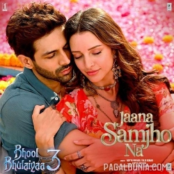 Jaana Samjho Na - Bhool Bhulaiyaa 3