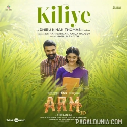 Kiliye - ARM
