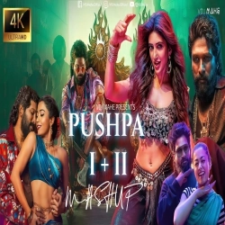 Pushpa n Pushpa 2 Mega Mashup