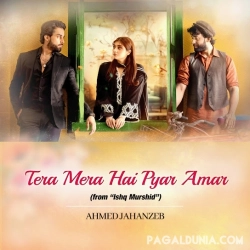 Tera Mera Hai Pyar Amar Ost